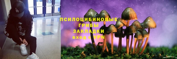 эйфоретик Алзамай