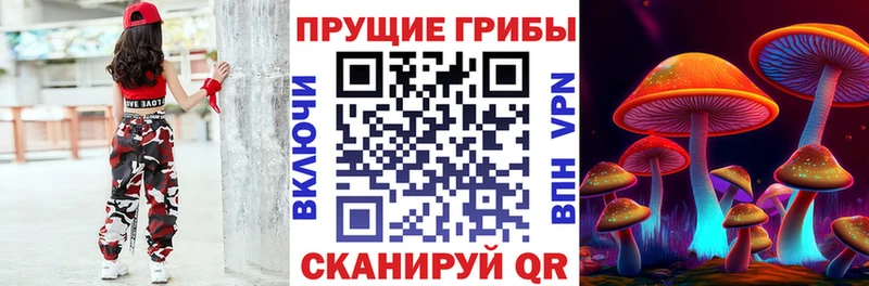 Псилоцибиновые грибы Psilocybine cubensis  Грязовец 
